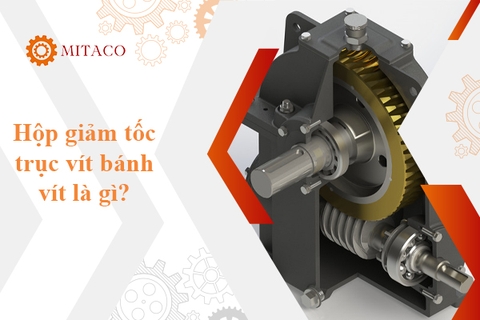 Hộp giảm tốc trục vít bánh vít là gì - Nguyên lý hoạt động và phân loại chi tiết nhất