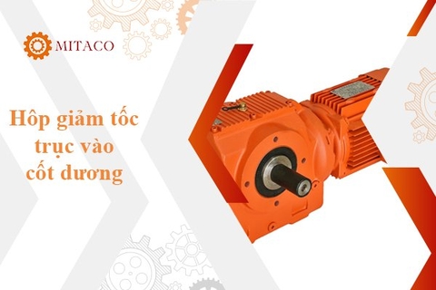 Hộp giảm tốc trục vào cốt dương và tất tần tật các thông tin bạn cần biết
