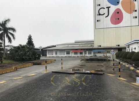 Bảo dưỡng cân ô tô 80 tấn Cân điện tử chi anh