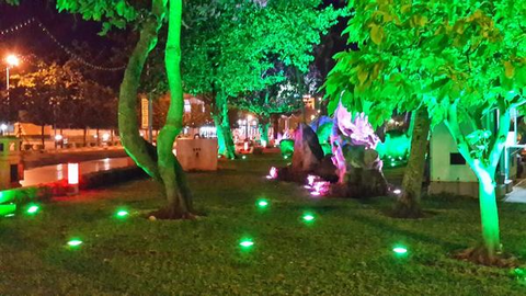 Ứng dụng của đèn LED trong trang trí cây