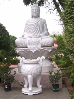 tuong-thich-ca-10