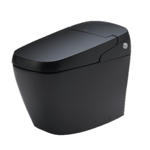 Bồn cầu thông minh INAX AC-G216VN/BKG