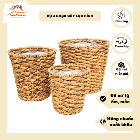[CasaCasa] Bộ 3 Chậu Cây Đan Vặn Lục Bình Decor Thân Thiện & Tiện Lợi (Set of 3 Twisted Plant Pots)