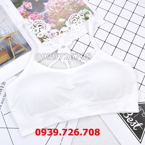 Áo lót bra cotton lưng ren bướm 3 lỗ