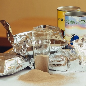 Bán Artemia chất lượng cao tại Việt Nam