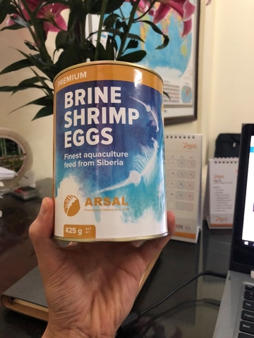 Hướng dẫn cách ấp Artemia