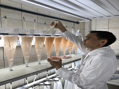 artemia, nhập khẩu artemia, ấp artemia