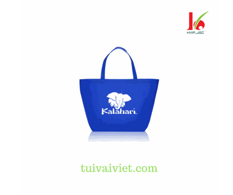 túi vải không dệt tvv017
