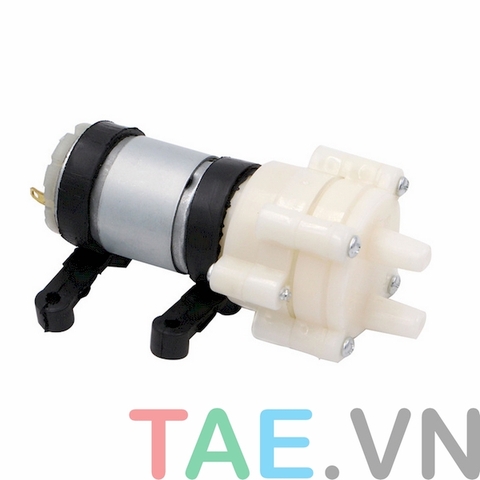 Động Cơ Bơm Nước DC 12V R385