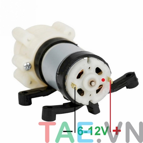 Động Cơ Bơm Nước DC 12V R385