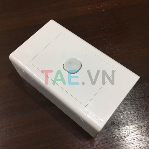 Công Tắc Điều Khiển Từ Xa TPE RC1S Sử Dụng Sóng RF 315Mhz