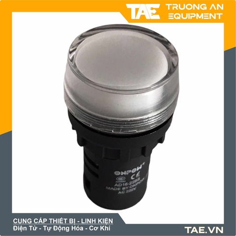 Đèn Tròn 110V 22mm-AD16