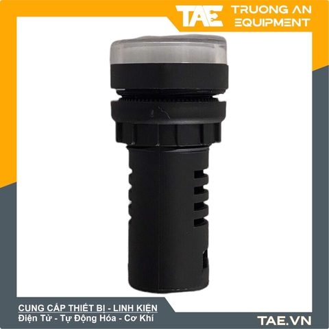 Đèn Tròn 110V 22mm-AD16