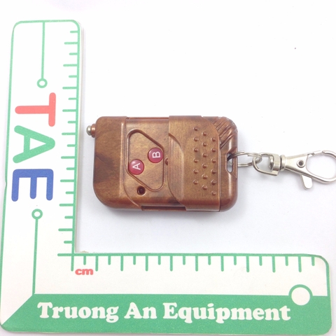 Remote Rf 2 Lệnh