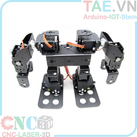 Robot Hình Người 8 Bậc DIY