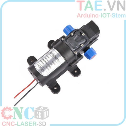 Máy Bơm Nước 12V