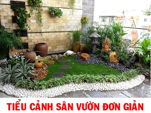 Thiết kế tieu canh san vuon don gian có gì đặc biệt mà thu hút đến vậy?