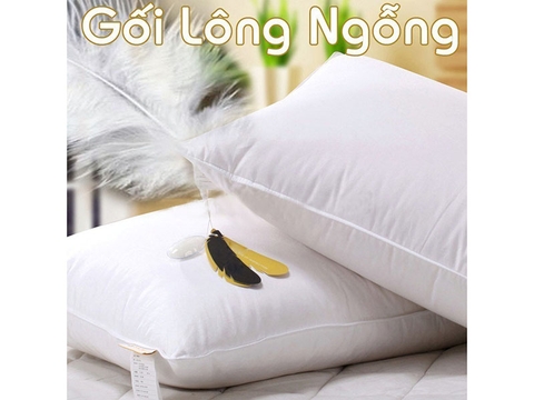 Gối nằm lông vũ Laube Feather 40x60cm - RTG00102