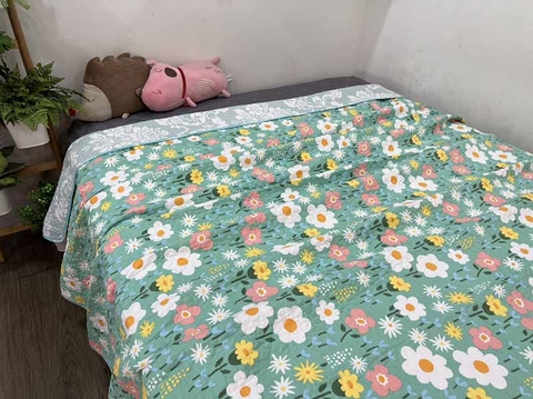 Chăn lẻ 150x200cm - CNL053911