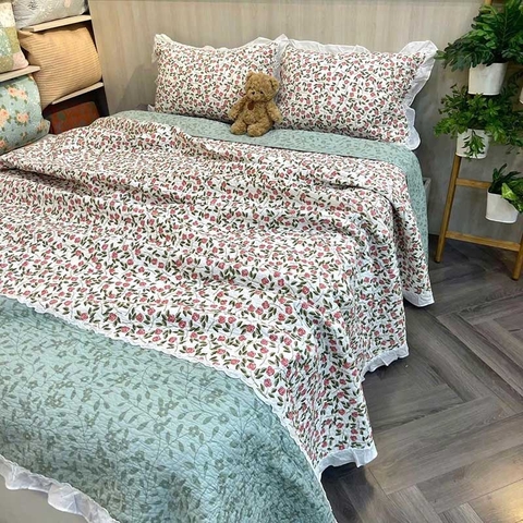 Chăn bộ 3 món 230x250cm - CNB3052908