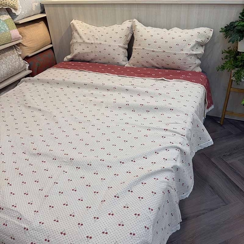 Chăn bộ 3 món 220x240cm - CNB3068011