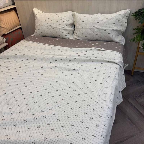 Chăn bộ 3 món 220x240cm - CNB3068051