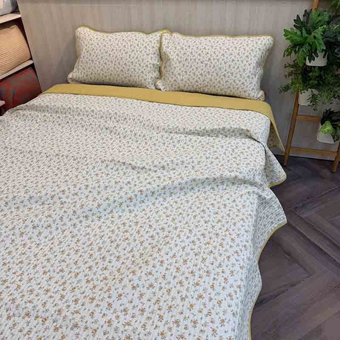Chăn bộ 3 món cotton 200x220cm - CNB307004
