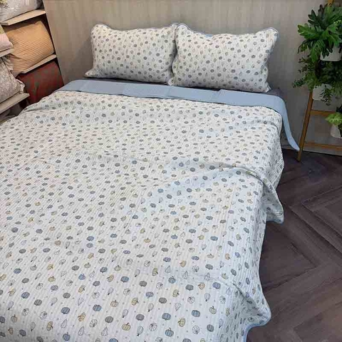 Chăn bộ 3 món cotton 200x220cm - CNB307006