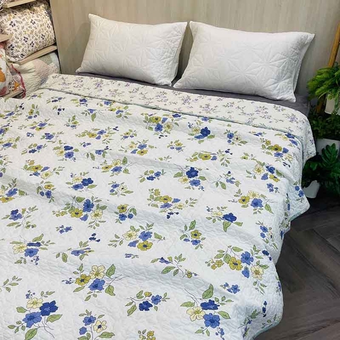 Chăn lẻ 200x220cm - CNL005113