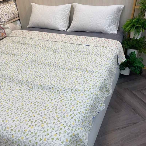 Chăn lẻ 200x220cm - CNL005313