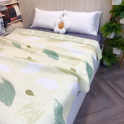 Chăn lẻ 200x230 - CNL037913