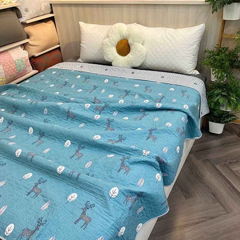 Chăn lẻ 150x200cm - CNL062311