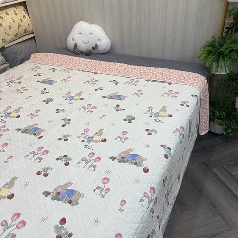 Chăn lẻ 150x200cm - CNL072711