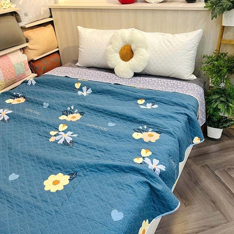 Chăn lẻ 200x220cm - CNL0756023