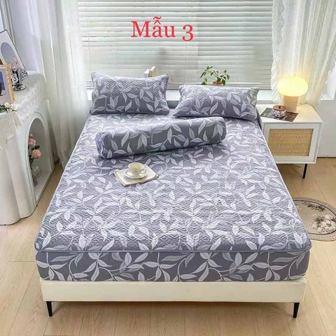 Drap bọc cotton đũi 160x200cm - Mẫu 3 - DRP03631