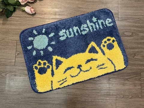 Thảm chùi chân lông 40x60 - SUNSHINE - TLC06501