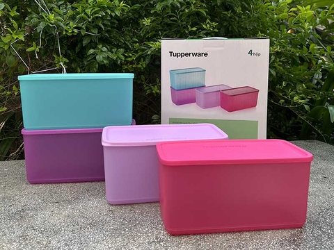 Set 4 hộp Funtasic 3.1l Tupperware - TPW008