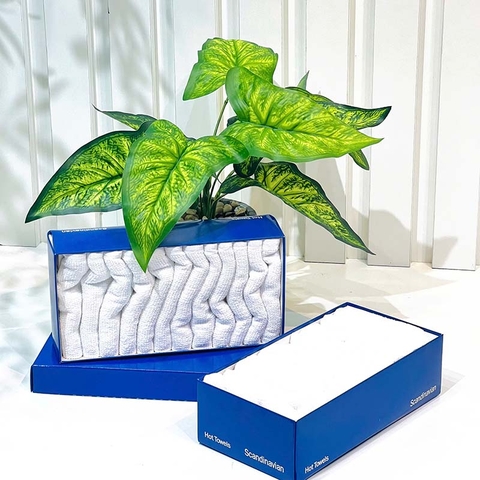 Hộp 12 khăn cotton Scandinavian 25x25cm 20g - KTM07601