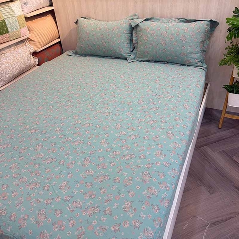 Drap bọc 180x200cm gồm 2 vỏ gối - Hoa lớn xanh ngọc  - DRP03017