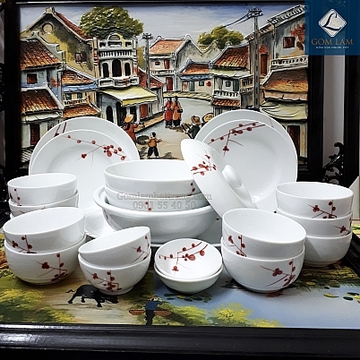Tặng tô cao cấp
