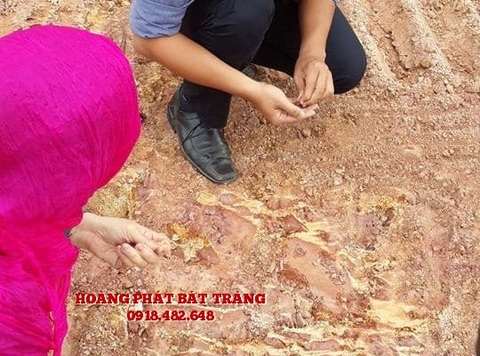 Đất ngũ sắc Bát Tràng sang cát, chôn lấp mộ, hạ huyệt, cải táng