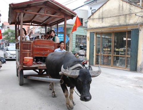 Ý nghĩa tượng con trâu trong phong thủy