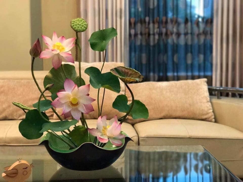 Ang thả sen, thả cá có đủ kích cỡ 321