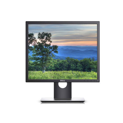 Màn hình Dell 19 inch P1917S Led