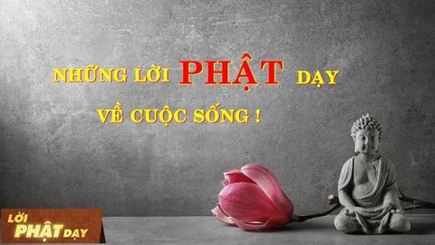 (Lời Phật Dạy  4 )  3 thứ đáng trông chờ nhất kiếp nhân sinh, giúp khai thông vận mệnh .