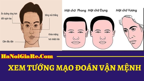 Xem Tướng Đoán Vận Mệnh : Tướng người dễ phát tài chỉ sau 1 đêm, tài vận xoay chuyển khó ai ngờ