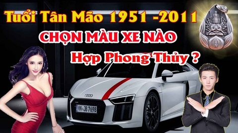 Chọn màu xe ô tô hợp tuổi tân mão mang lại may mắn tránh tai nạn cho chủ xe theo phong thủy