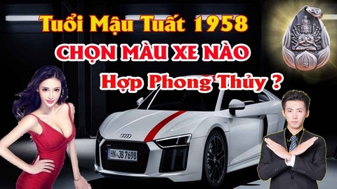 Chọn Màu Xe ô Tô Hợp Tuổi Mậu Tuất Mang Lại Tài Lộc Tránh Tai Nạn Cho Lái Xe Theo Phong Thủy