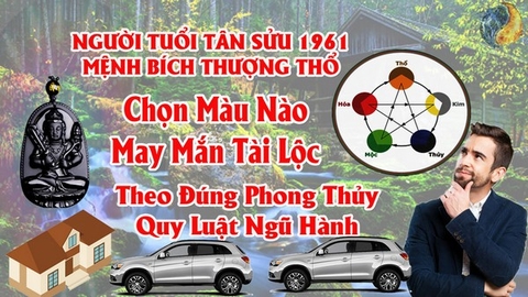 Tuổi Tân Sửu 1961  Hợp Màu Gì ? Chọn Màu Xe , Sơn Nhà , Vòng Tay Màu Nào Tốt Nhất