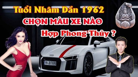 Chọn màu xe ô tô hợp tuổi nhâm dần mang lại may mắn tránh tai nạn mang lại bình an tài lộc cho chủ xe